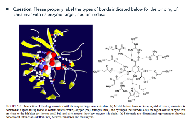 Please Properly Label The Types Of Bonds Indicated Below For The Binding Of Zanamivir With Its Enzyme Target Neuraminid 1