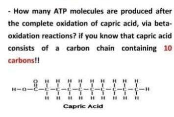 How Many Atp Molecules Are Produced After The Complete Oxidation Of Capric Acid Via Beta Oxidation Reactions If You 1