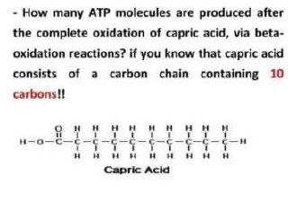 How Many Atp Molecules Are Produced After The Complete Oxidation Of Capric Acid Via Beta Oxidation Reactions If You 1