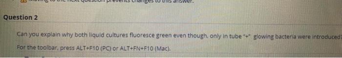 Question 2 Can You Explain Why Both Liquid Cultures Fluoresce Green Even Though Only In Tube Glowing Bacteria Were I 1