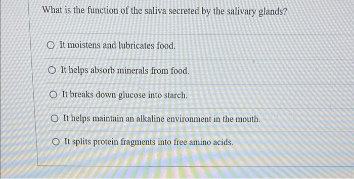 What Is The Function Of The Saliva Secreted By The Salivary Glands O It Moistens And Lubricates Food O It Helps Absorb 1