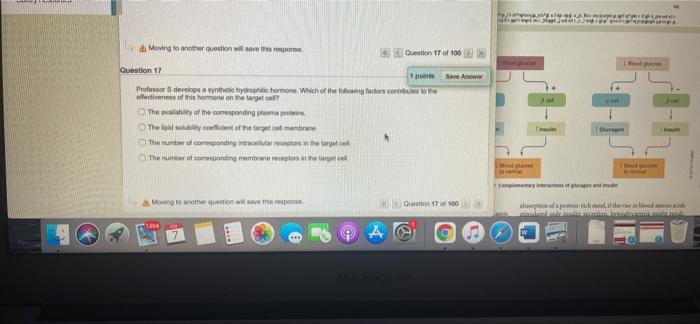 Moving To Another Question Will Response On 17 Of 100 Wer Question 17 1 Points Profesor Develops With Hydrophilic Hormo 1