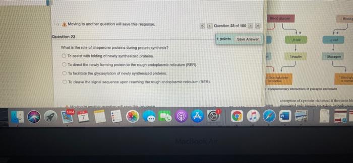Moving To Another Question Will Response On 17 Of 100 Wer Question 17 1 Points Profesor Develops With Hydrophilic Hormo 7