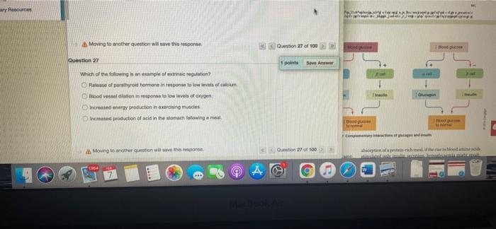 Moving To Another Question Will Response On 17 Of 100 Wer Question 17 1 Points Profesor Develops With Hydrophilic Hormo 11