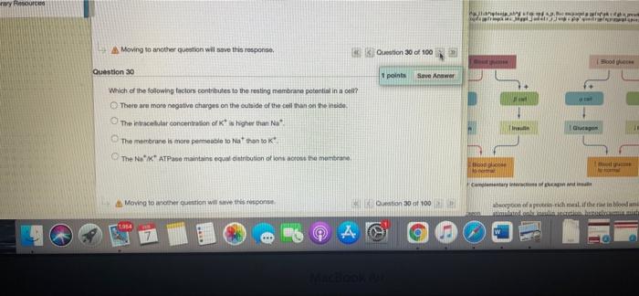Moving To Another Question Will Response On 17 Of 100 Wer Question 17 1 Points Profesor Develops With Hydrophilic Hormo 14