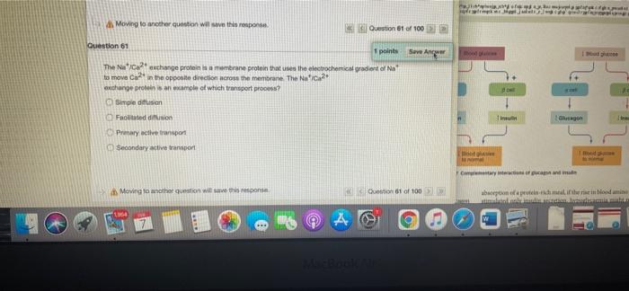Question 51 1 Points Suve Answer Activation Of A Receptor That Functions As An Ion Channel Nuses Which Of The Following 11
