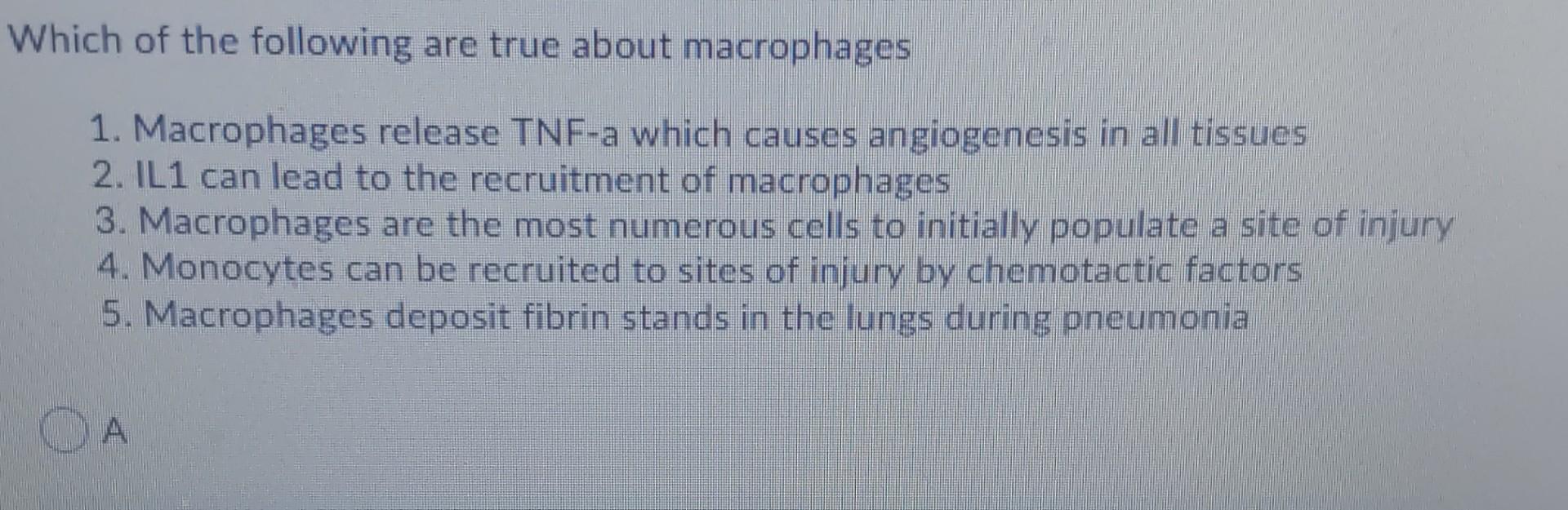 Which Of The Following Are True About Macrophages 1 Macrophages Release Tnf A Which Causes Angiogenesis In All Tissues 1