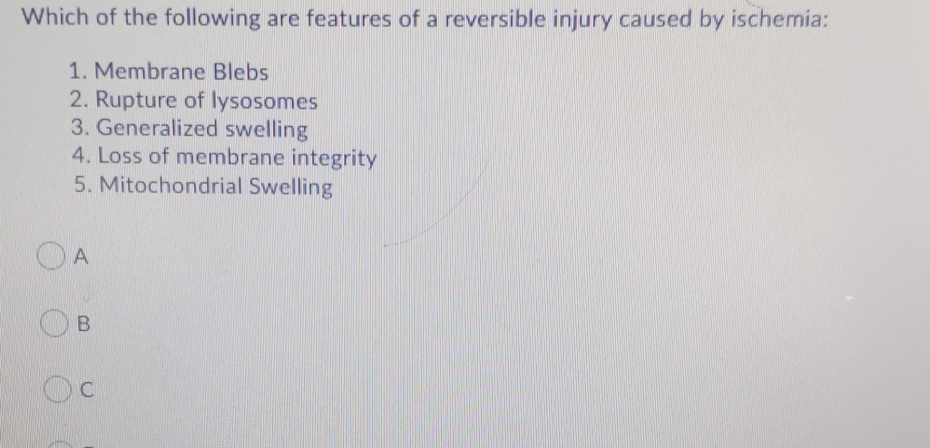 Which Of The Following Are Vasoactive Mediators That Are Formed Before The Inflammatory Reaction And Stored In Secretory 3