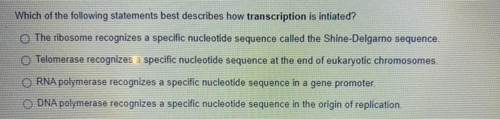 Select All Dna Molecules That Can Be Found In The Prokaryotic Genome Dna In The Nucleus Chloroplast Dna Plasmid Dna Mito 2