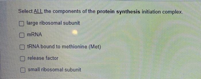 Select All The Components Of The Protein Synthesis Initiation Complex Large Ribosomal Subunit Mrna Trna Bound To Methio 1