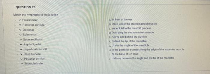 Question 17 Discuss Develpmental Considerations For Heent Reginal Lymphatics For Infants And Children Pregnant Wome 4