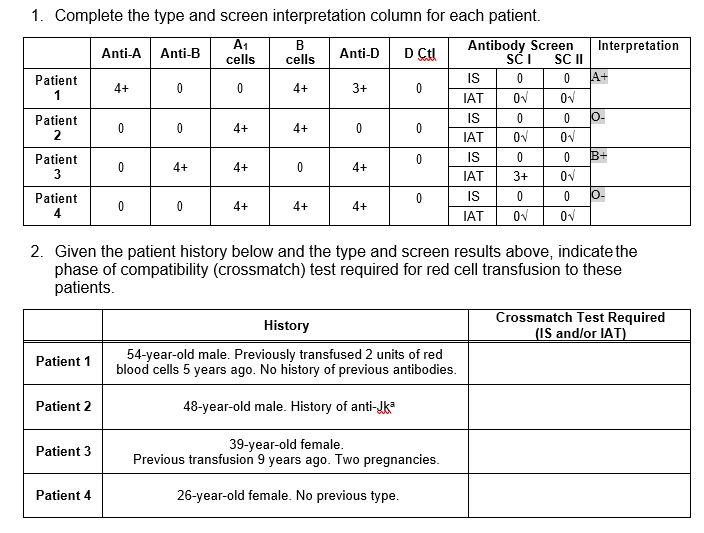 4 1 Complete The Type And Screen Interpretation Column For Each Patient A1 B Anti A Anti B Cells Anti D Antibody Scre 1