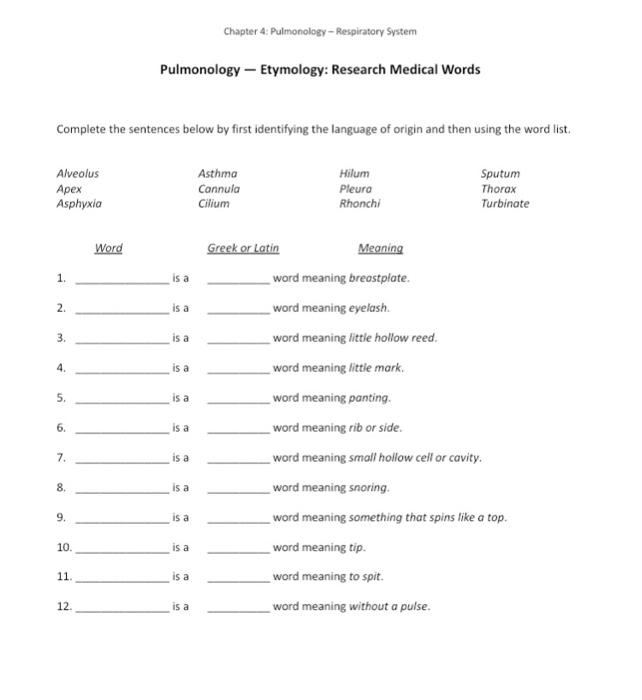 Chapter 4 Pulmonology Respiratory Systempulmonology Etymology Research Medical Wordscomplete The Sentences Below B 1