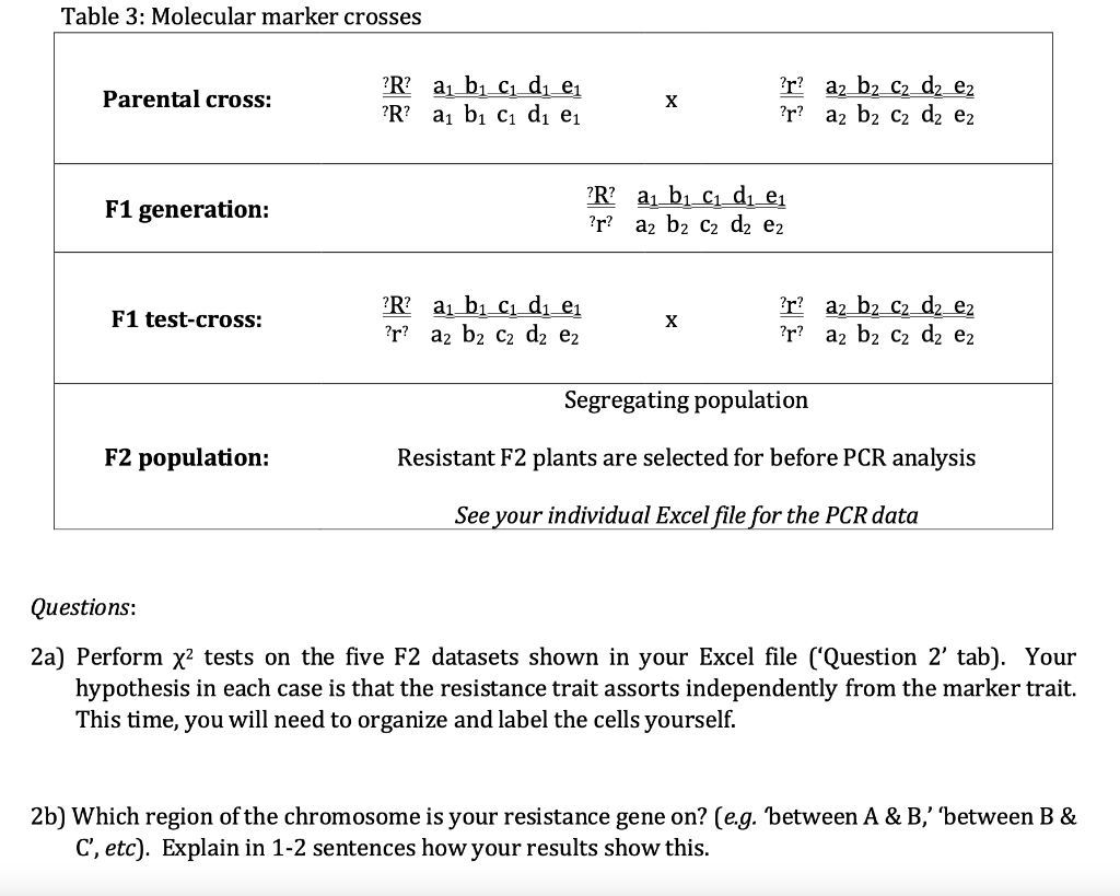 Table 3 Molecular Marker Crosses Parental Cross R A Bi Ci Di Ei R Al Bi Ci Di Ei X R Az B2 C2 Dz 2 R Az B2 C2 1