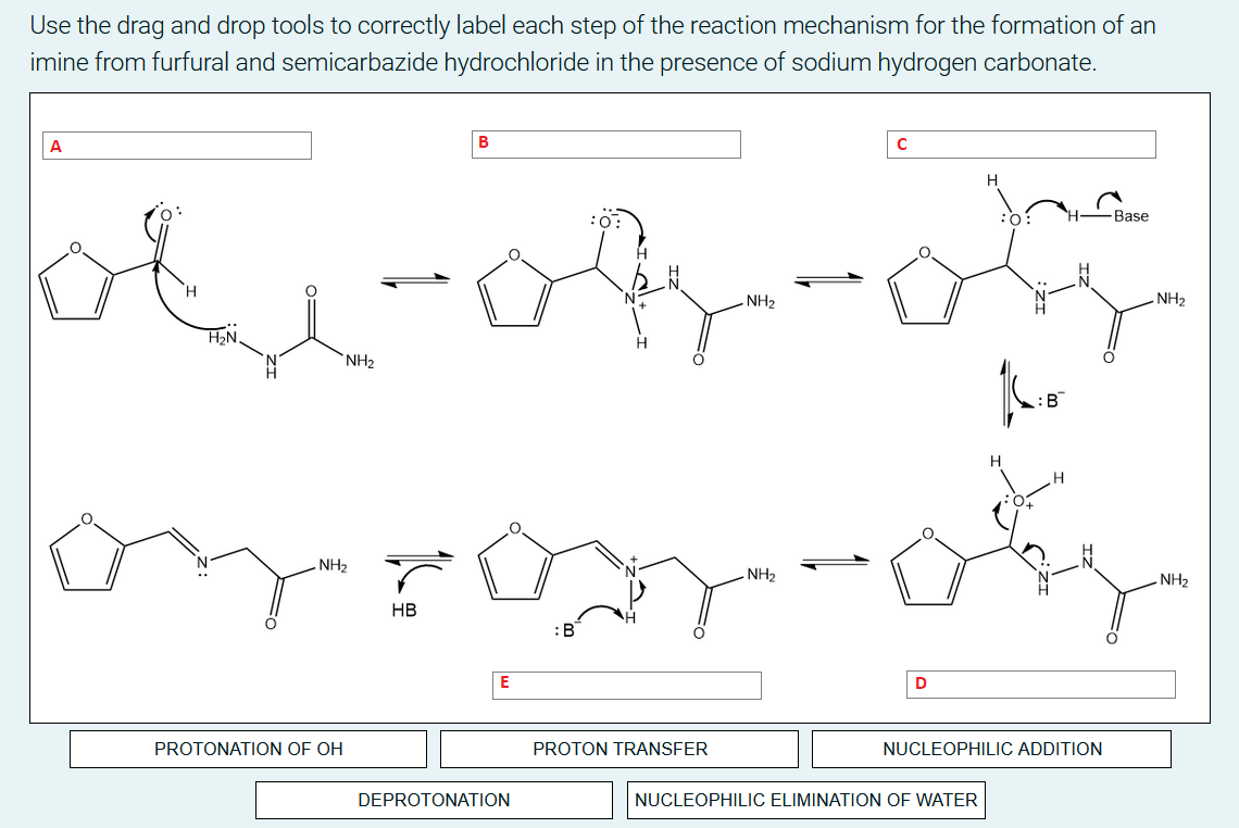 Use The Drag And Drop Tools To Correctly Label Each Step Of The Reaction Mechanism For The Formation Of An Imine From Fu 1