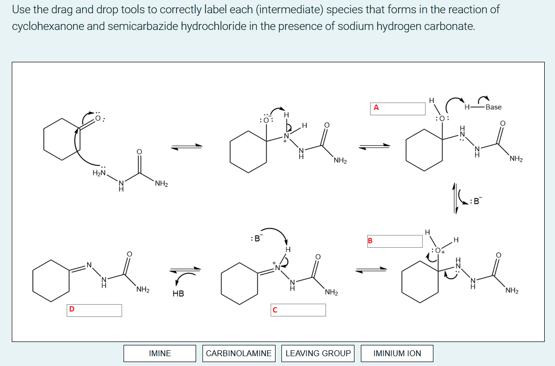 Use The Drag And Drop Tools To Correctly Label Each Intermediate Species That Forms In The Reaction Of Cyclohexanone A 1