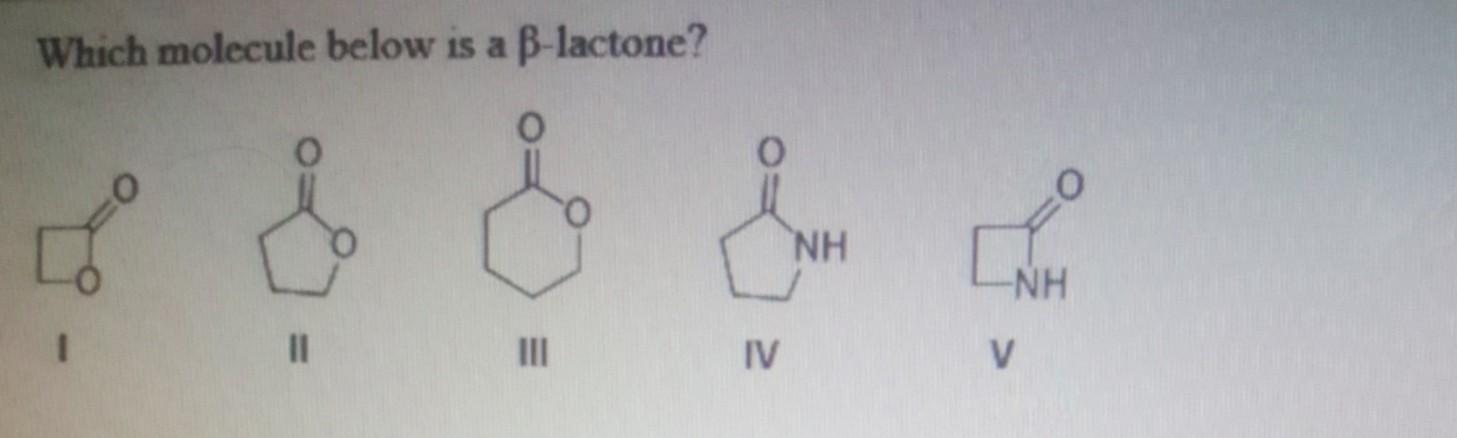 Which Molecule Below Is A B Lactone O Do Nh Nh 11 Iii 2 Iv V 1