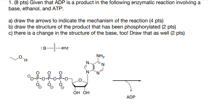 1 8 Pts Given That Adp Is A Product In The Following Enzymatic Reaction Involving A Base Ethanol And Atp A Draw T 1