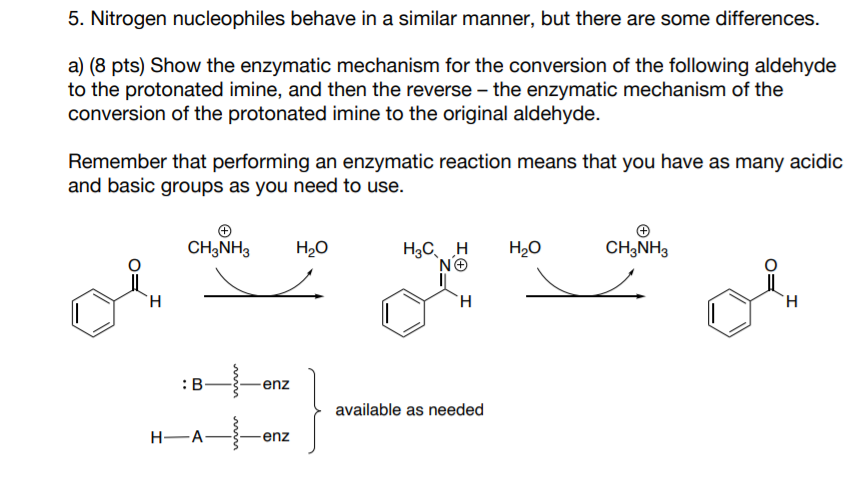 5 Nitrogen Nucleophiles Behave In A Similar Manner But There Are Some Differences A 8 Pts Show The Enzymatic Mecha 1