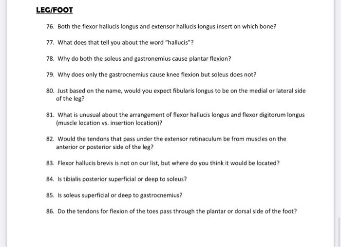 Leg Foot 76 Both The Flexor Hallucis Longus And Extensor Hallucis Longus Insert On Which Bone 77 What Does That Tell 1