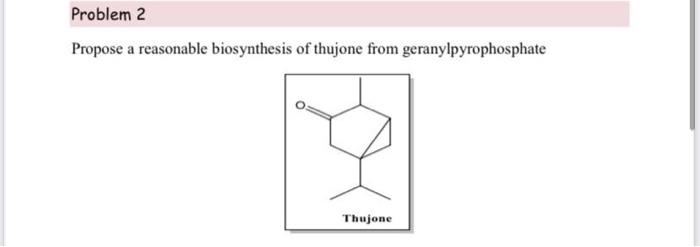 Problem 2 Propose A Reasonable Biosynthesis Of Thujone From Geranylpyrophosphate Thujone 1