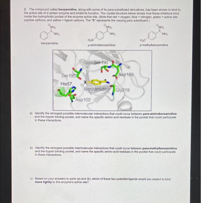 2 The Compound Called Benzamidine Along With Some Of Its Para Substituted Derivatives Has Been Shown To Bind To The A 1