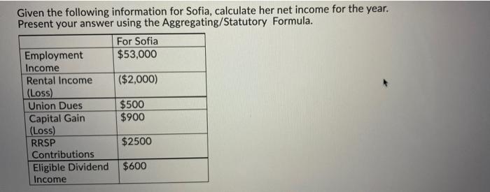Given The Following Information For Sofia Calculate Her Net Income For The Year Present Your Answer Using The Aggregat 1