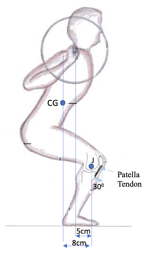 A Person Is Performing A Squat Exercise Holding A 60kg Mass The Body Mass Of The Person Is 80kg Acting At The Center Of 1
