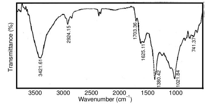 Transmittance 3500 3421 61 3000 2924 15 2500 Wavenumber Cm 2000 1703 36 1625 113 1500 1380 42 1000 1021 84 741 37 1