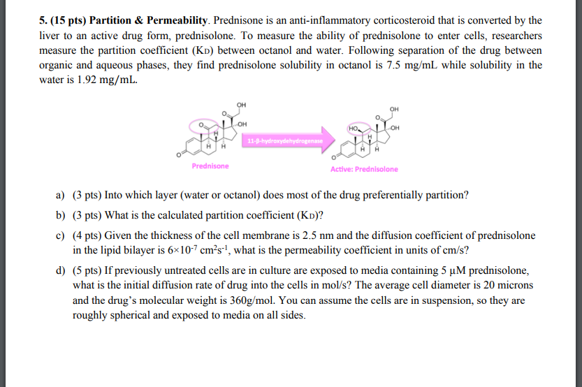 5 15 Pts Partition Permeability Prednisone Is An Anti Inflammatory Corticosteroid That Is Converted By The Liver T 1