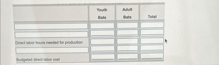 Mata Batting Company Balance Sheet December 31 2024 Assets Current Assets Cash Accounts Receivable A Budgeted Sales Ar 9
