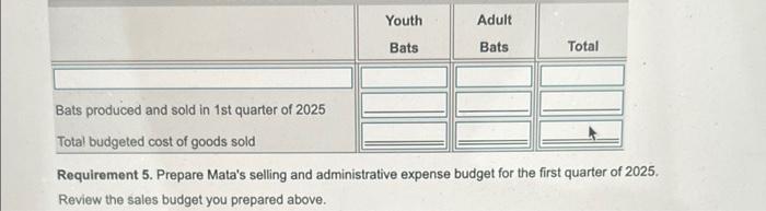 Mata Batting Company Balance Sheet December 31 2024 Assets Current Assets Cash Accounts Receivable A Budgeted Sales Ar 14