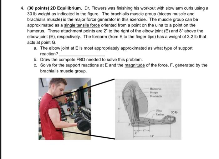 4 30 Points 2d Equilibrium Dr Flowers Was Finishing His Workout With Slow Arm Curls Using A 30 Lb Weight As Indicat 1