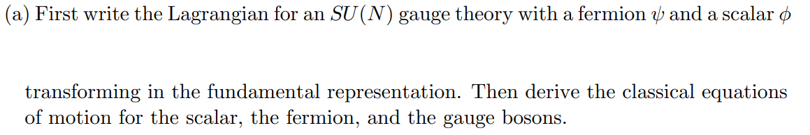 Su N Gauge Theory 1