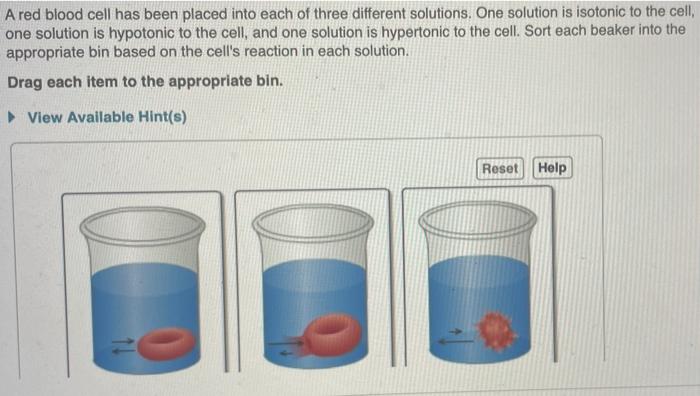 A Semipermeable Membrane Is Placed Between The Following Solutions Which Solution Will Decrease In Volume View Avail 3