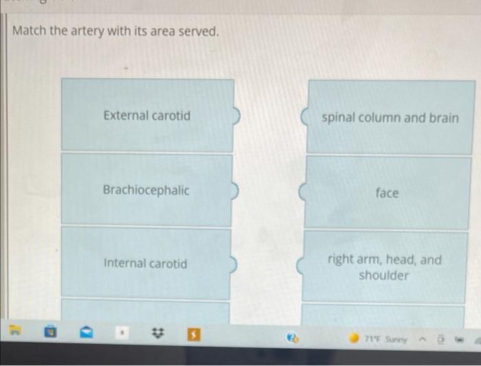 Match The Artery With Its Area Served External Carotid Spinal Column And Brain Brachiocephalic Face Internal Carotid Ri 1