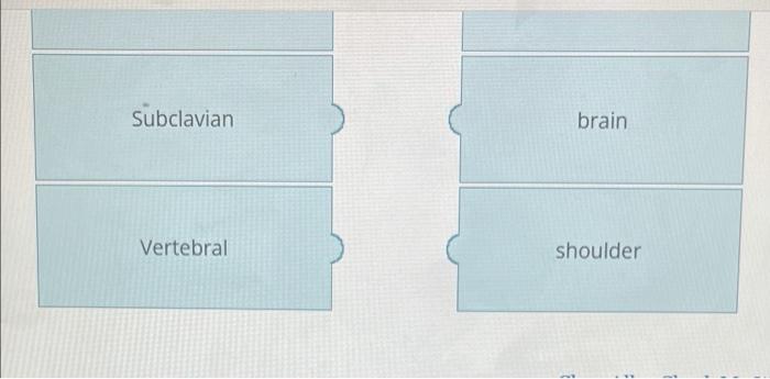 Match The Artery With Its Area Served External Carotid Spinal Column And Brain Brachiocephalic Face Internal Carotid Ri 2