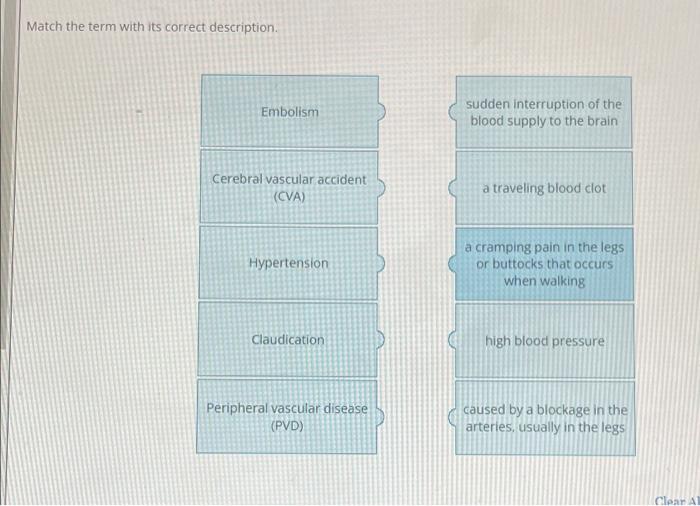 Match The Term With Its Correct Description Embolism Sudden Interruption Of The Blood Supply To The Brain Cerebral Vasc 1