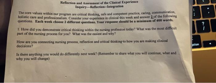 1 Reflection And Assessment Of The Clinical Experience Inquiry Reflection Integration The Core Values Within Our Pro 1