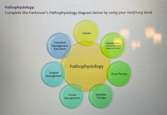 Pathophysiology Complete The Parkinson S Pathophysiology Diagram Below By Using Your Med Surg Book Causes Transition Ma 1