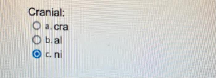 Please Help Me With The Following What Is The Correct Combining Form Below 2