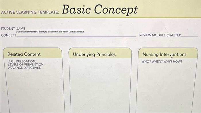 Basic Concept Active Learning Template Student Name Cardiovascular Disorders Identlying The Location Of A Patent Ductu 1