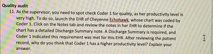 Quality Audit 11 As The Supervisor You Need To Spot Check Coder 1 For Quality As Her Productivity Level Is Very High 1