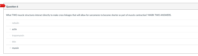 Question 6 What Two Muscle Structures Interact Directly To Make Cross Linkages That Will Allow For Sarcomeres To Become 1