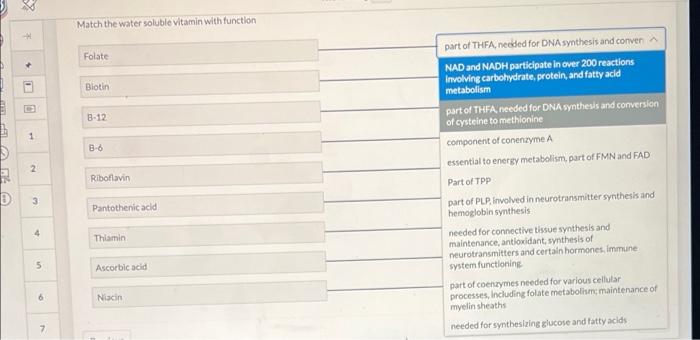 2 Match The Water Soluble Vitamin With Function Folate Biotin B 12 1 B 6 2 Riboflavin Part Of Thfa Needed For Dna Syn 1