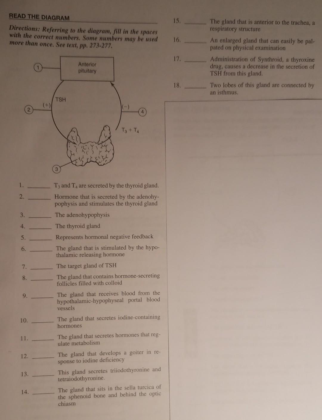 Read The Diagram 15 Directions Referring To The Diagram Fill In The Spaces With The Correct Numbers Some Numbers May 1