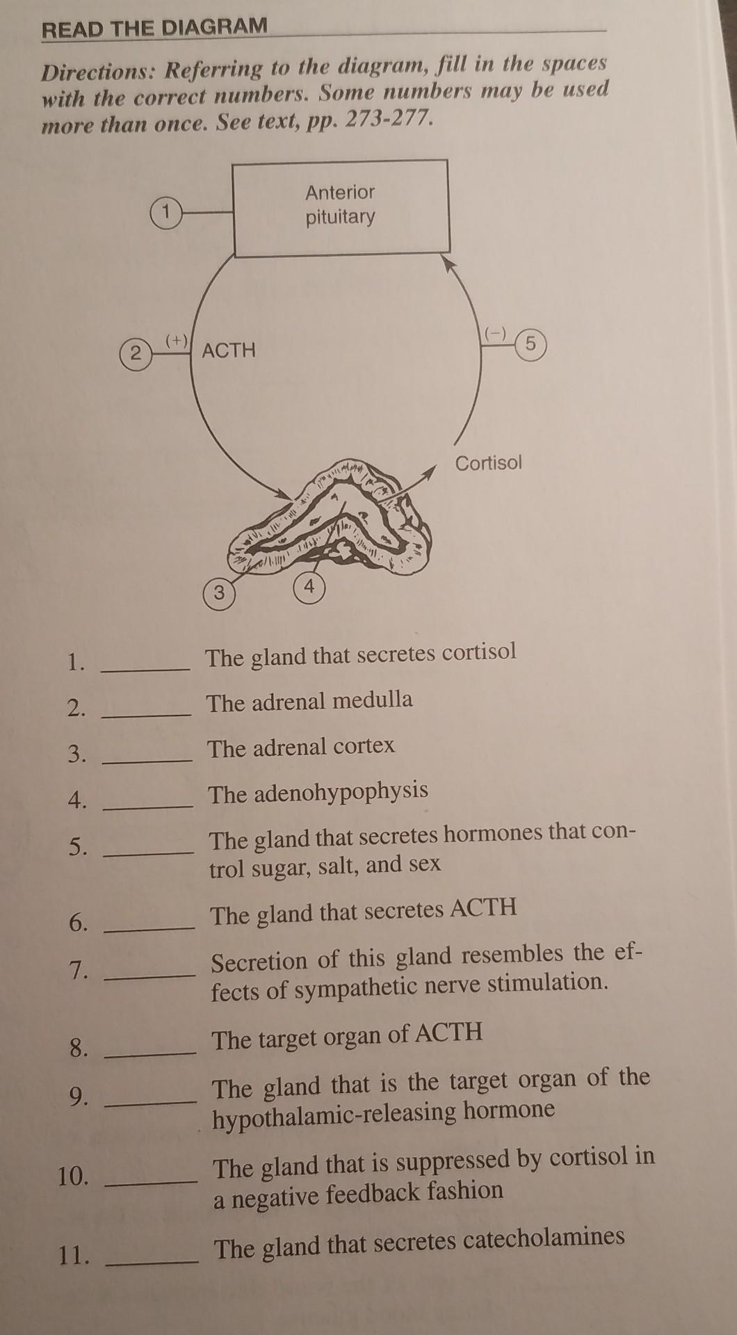 Read The Diagram Directions Referring To The Diagram Fill In The Spaces With The Correct Numbers Some Numbers May Be 1