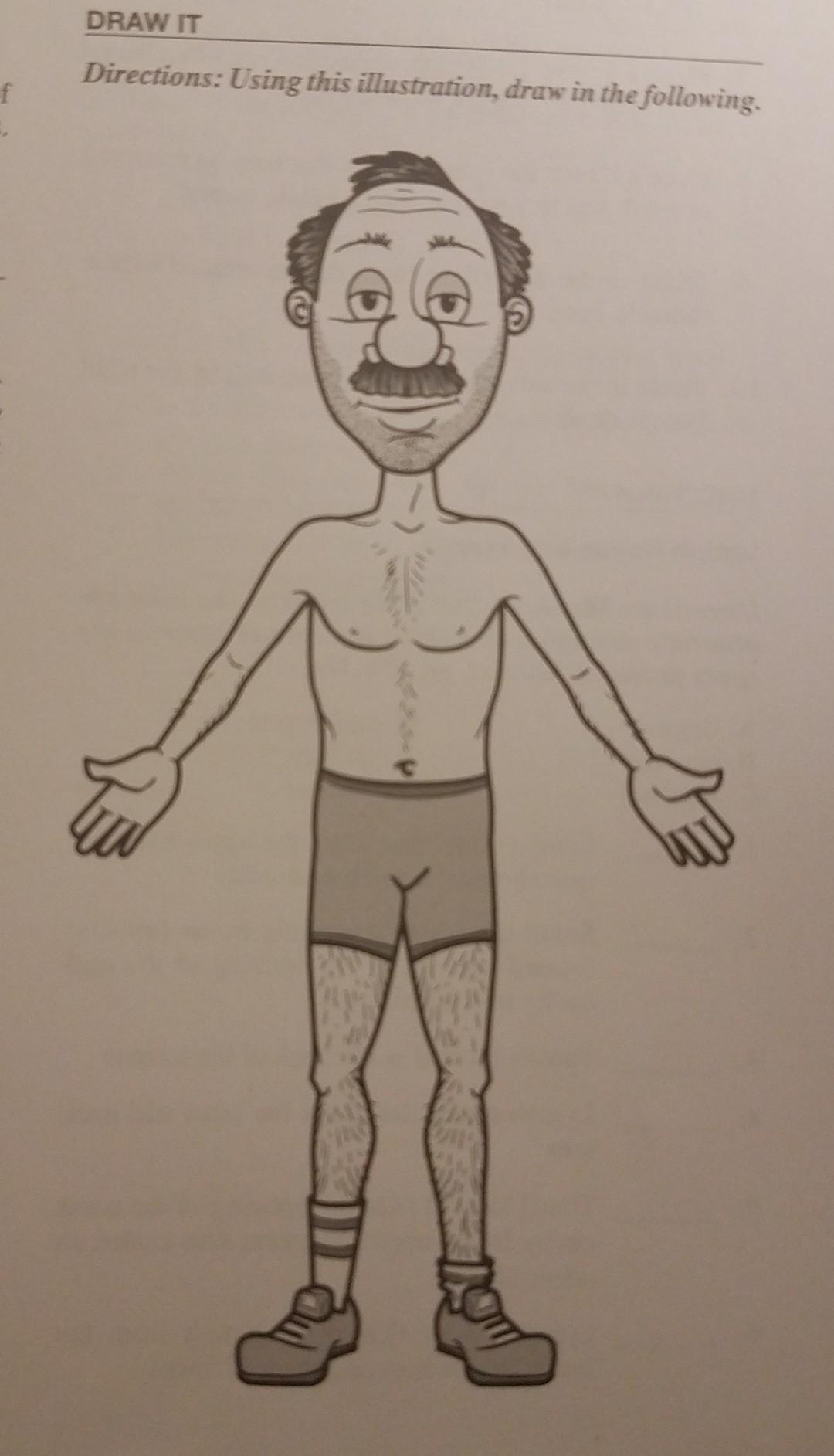 Draw It Directions Using This Illustration Draw In The Following F Ih 1 The Thymosin Secreting Gland That Involu 1
