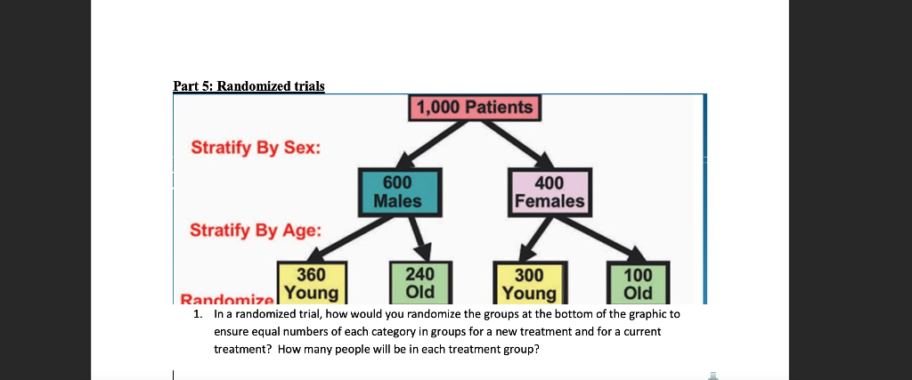 Part 5 Randomized Trials 1 000 Patients Stratify By Sex 600 Males 400 Females Stratify By Age 360 240 300 100 Randomi 1