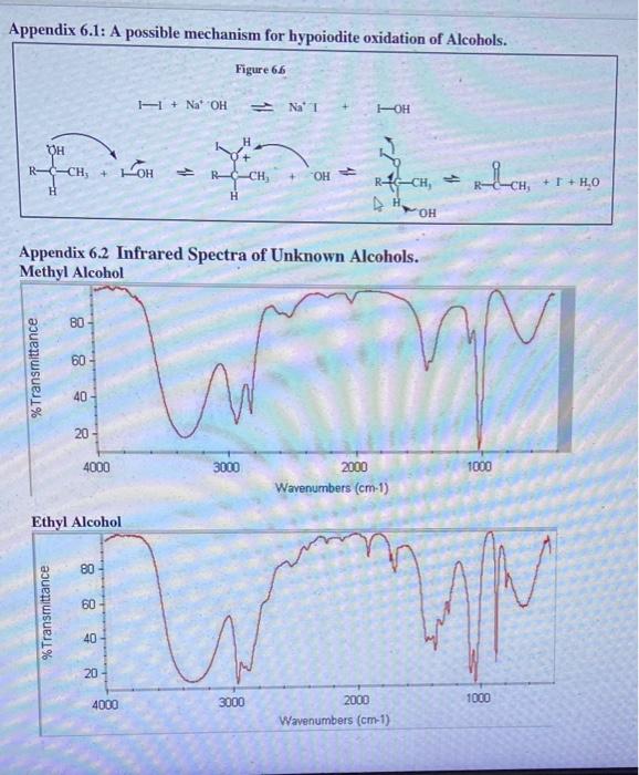 Give A Brief Description Of What Is Meant By Primary 1 Secondary 2 Tertiary 39 And Secondary Methyl Alcohols 6